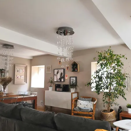 Au Grenier De La Grenouille Apartamento *