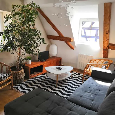 Apartamento Au Grenier De La Grenouille Colmar