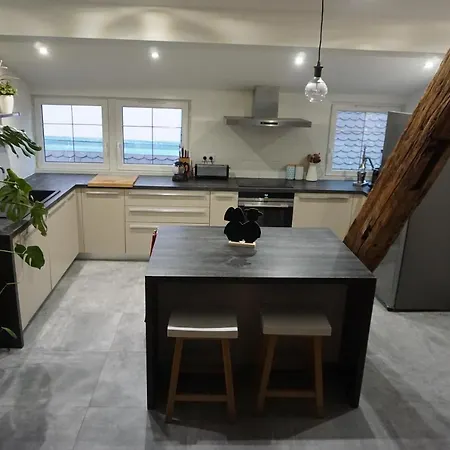 Au Grenier De La Grenouille 科尔马