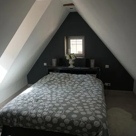 Apartamento Au Grenier De La Grenouille