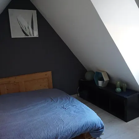 Apartamento Au Grenier De La Grenouille Colmar