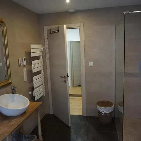 公寓 Au Grenier De La Grenouille *