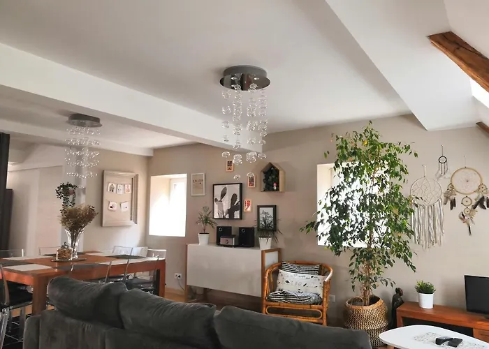 Au Grenier De La Grenouille Lejlighed *