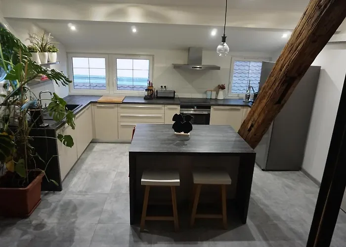 Au Grenier De La Grenouille Colmar